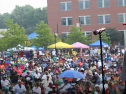 A view of the large crowd from the stage at the 2023 Summer Concert